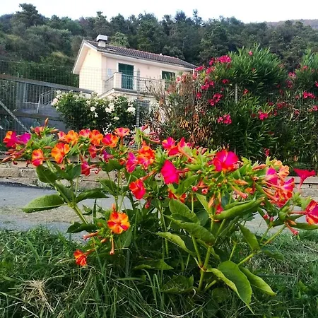 Fata Morgana * Nascio