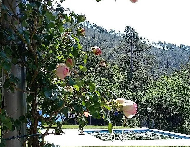 Fata Morgana Villa *