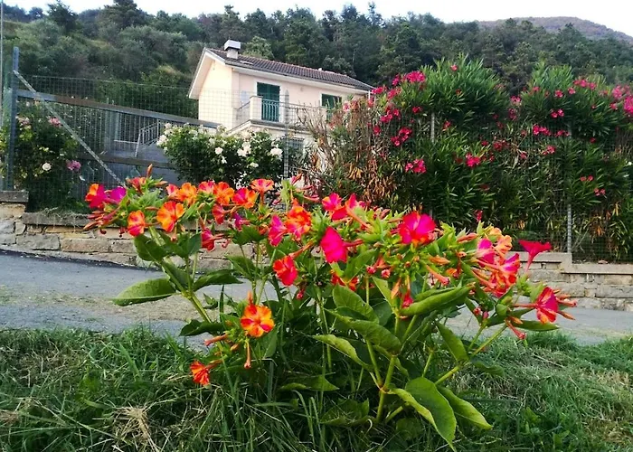 Fata Morgana * Nascio